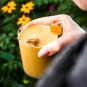 ballaststoffreiches Nahrungsergänzungprodukt - Phytoshake