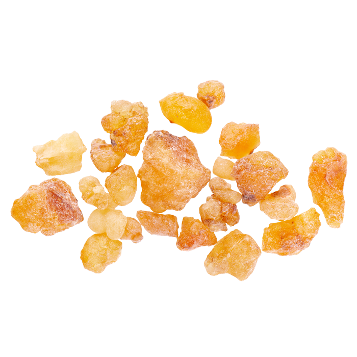 Boswellia