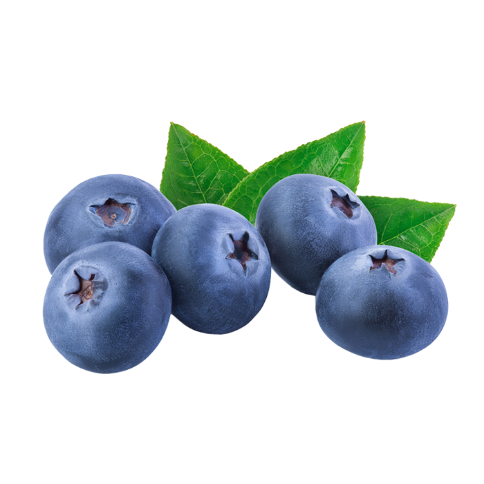 Anthocyane - Blaubeere